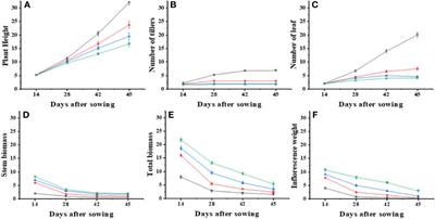 Investigating the dynamic responses of Aegilops tauschii Coss. to salinity, drought, and nitrogen stress: a comprehensive study of competitive growth and biochemical and molecular pathways